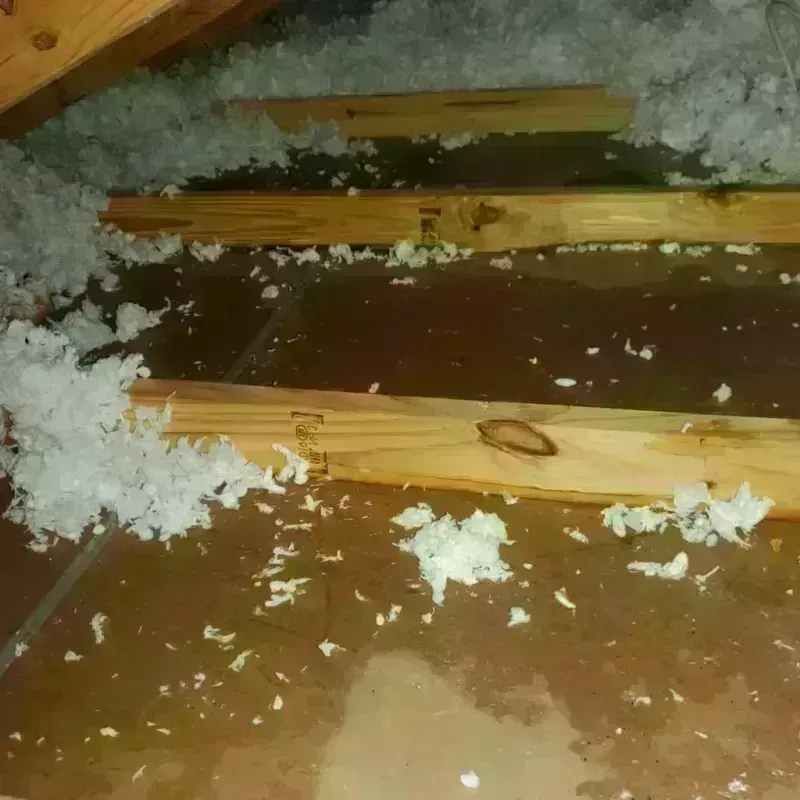 Attic Water Damage in Stanton, ND