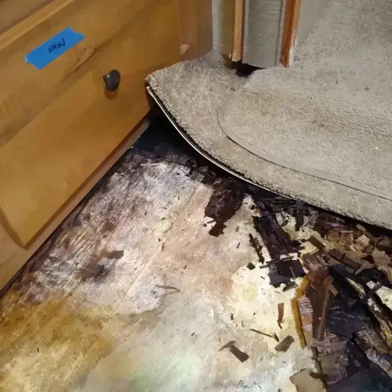 Wood Floor Water Damage in Stanton, ND